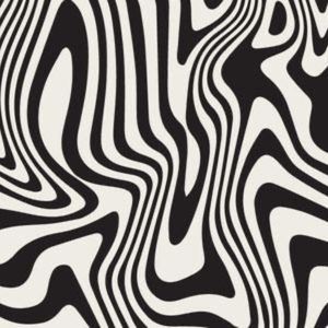 Meet your Posher, Zoe